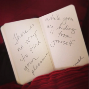 Open notebook on a red blanket with cursive text: left page reads 'there is no word to find your sorrow', right page 'while you are hiding it from yourself'.