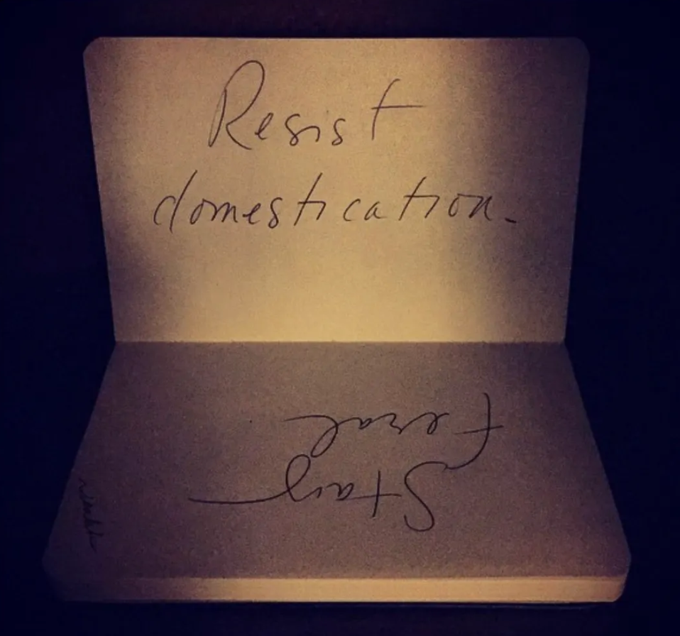 resist · @penandpaperpoetry on Instagram