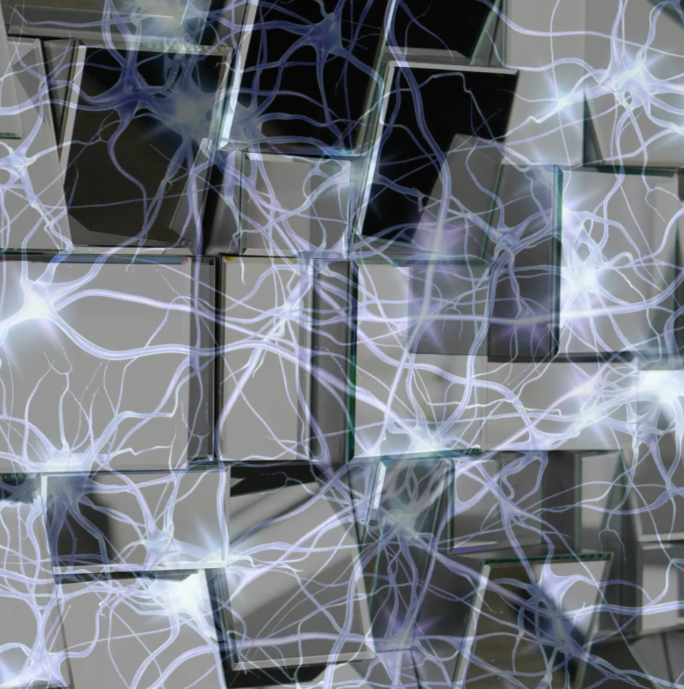 mirrors + neurons | by kahh