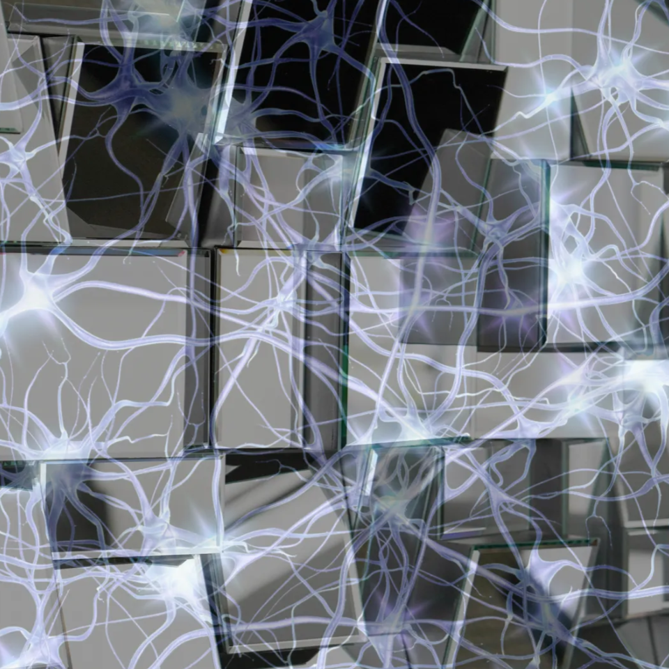 mirrors + neurons | by kahh
